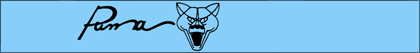 banner-puma